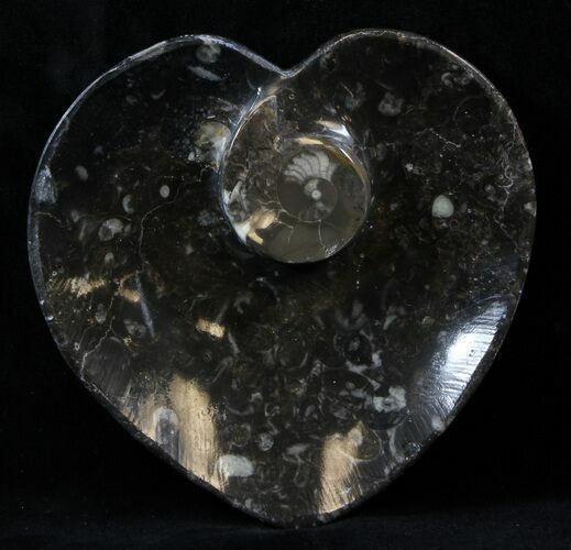 Heart Shaped Fossil Goniatite Dish #39317